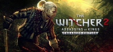 Купить The Witcher Adventure Game на steambuy Купить