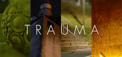 Купить на steambuy Купить Trauma