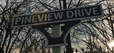 Купить на steambuy Купить Pineview Drive