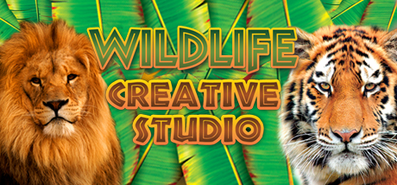 Купить на steambuy Купить Wildlife Creative Studio