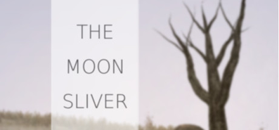 Купить на steambuy Купить The Moon Sliver